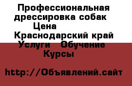 Профессиональная дрессировка собак › Цена ­ 15 000 - Краснодарский край Услуги » Обучение. Курсы   